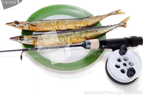 Image of Caught on a fishing tackle needlefish