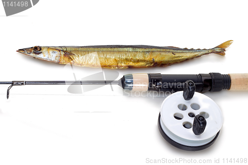 Image of Caught on a fishing tackle needlefish