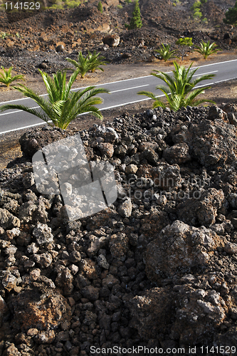 Image of Canary Islands