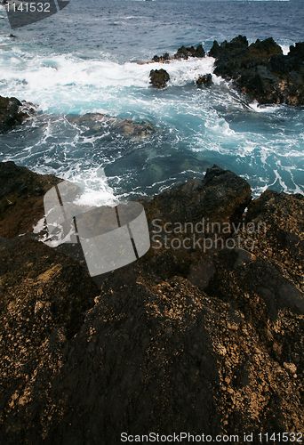 Image of Canary island