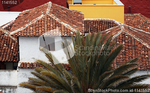 Image of Red roofs