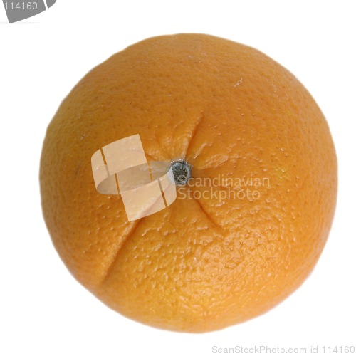 Image of Oragne Isolated