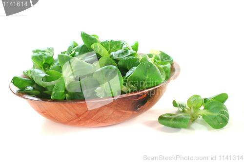 Image of fresh corn salad