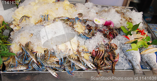 Image of seafood