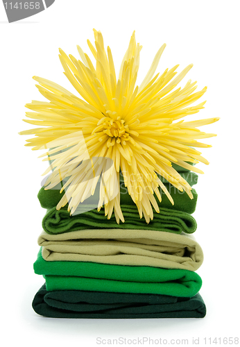 Image of Fresh spring laundry