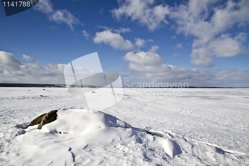 Image of Winter landscape