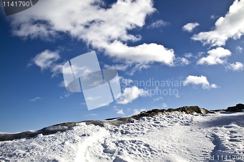 Image of Winter landscape