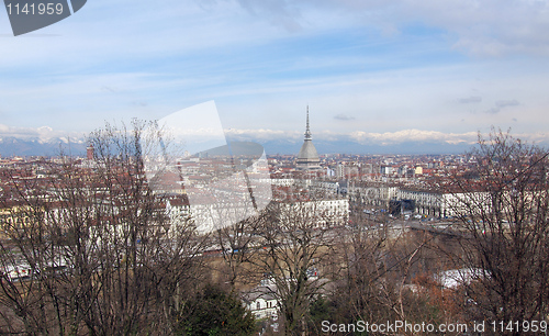 Image of Turin view