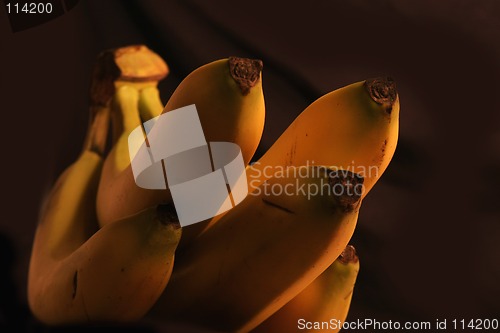 Image of Banana Bunch