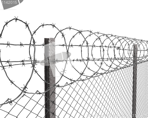 Image of Chainlink fence with barbed wire on top closeup