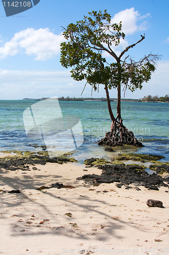 Image of West Coast Mauritius