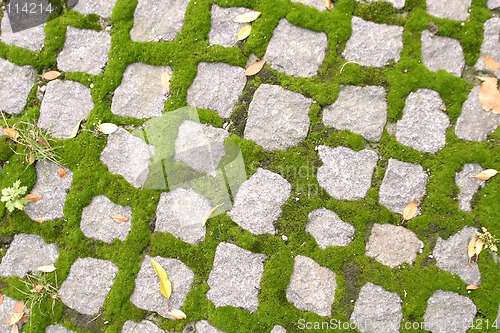 Image of Cobblestone Texture