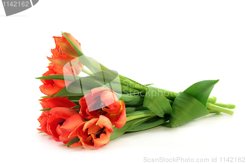 Image of Tulip bouquet