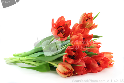 Image of Tulip bouquet