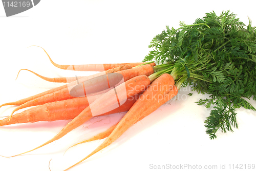 Image of Carrots