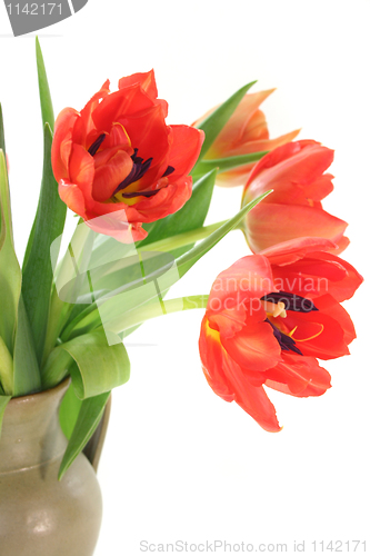 Image of tulip bouquet