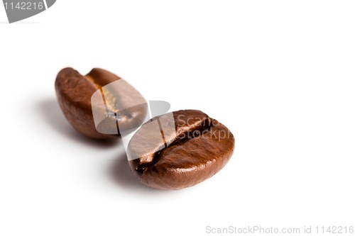 Image of  two coffee beans