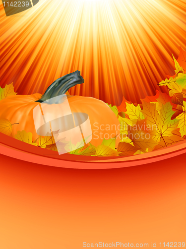 Image of Colorful autumn card leaves with Pumpkin. EPS 8