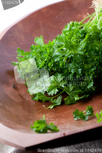 Image of Fresh parsley