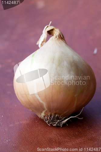 Image of Yellow onion