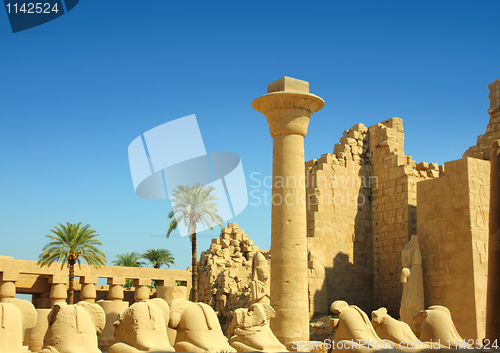 Image of column and statues of sphinx in karnak temple