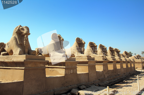 Image of egypt statues of sphinx in karnak temple
