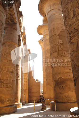 Image of columns in karnak temple