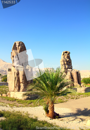 Image of colossi of memnon in Luxor Egypt