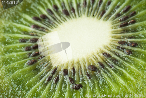 Image of Kiwi