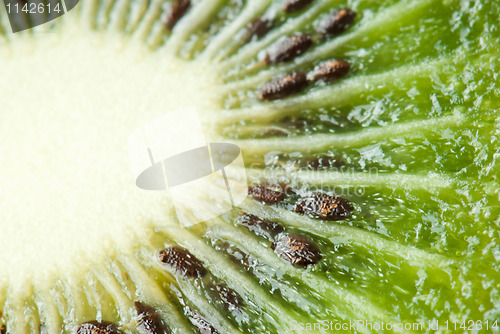 Image of Kiwi