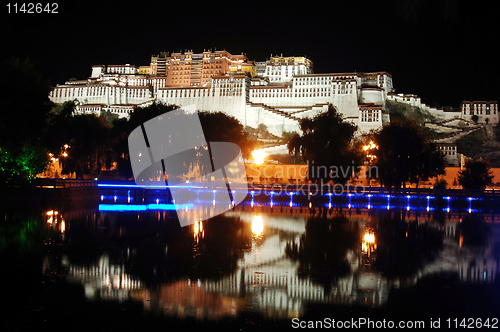 Image of Night scenes of Potala Palace