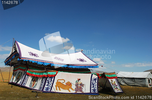 Image of Tent on grassland