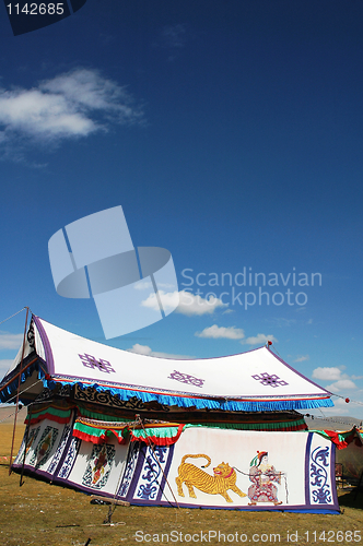 Image of Tent on grassland