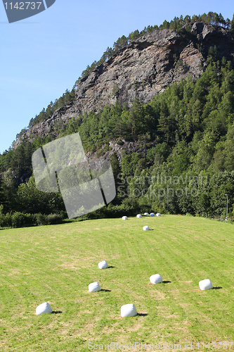 Image of Agriculture in Norway