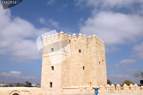 Image of Medieval fortification