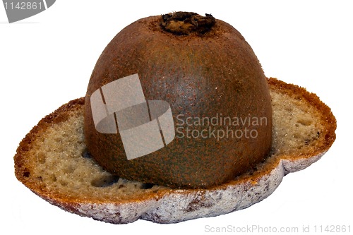 Image of toasts-kiwi