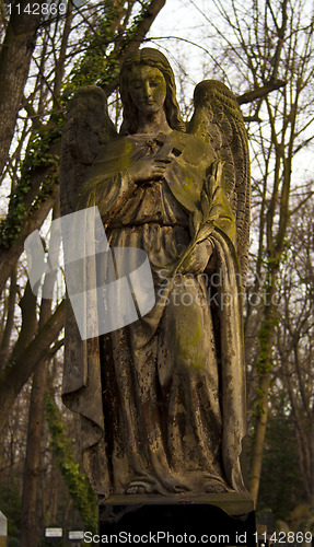 Image of graves