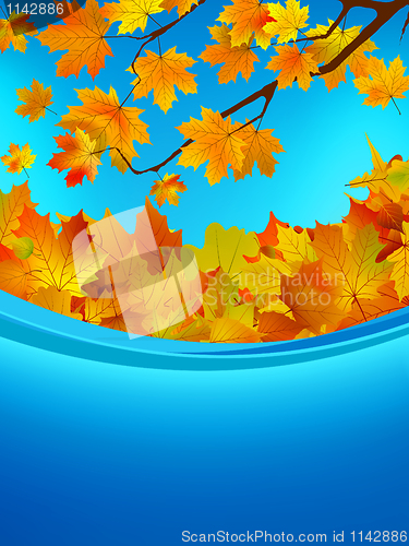 Image of Autumn card of colored leafs. EPS 8