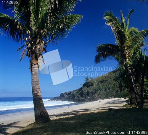 Image of Grande Anse beach, La Reunion island 