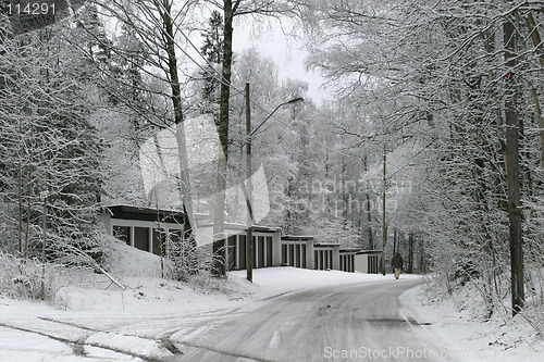 Image of Winter Road