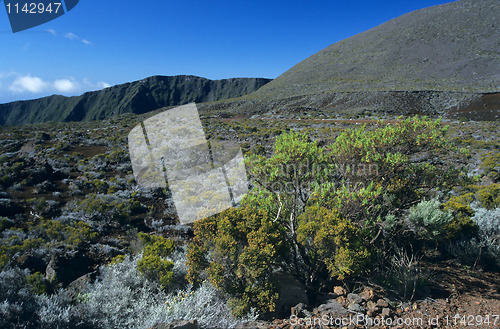 Image of Piton Le Maido, La Reunion Island