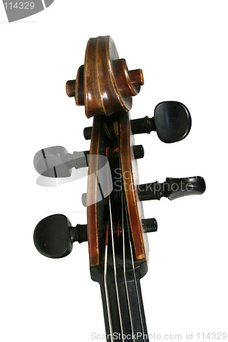 Image of Cello Scroll