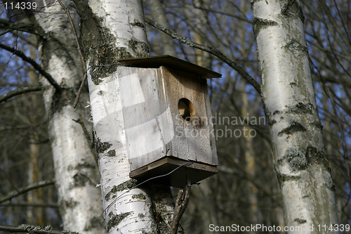 Image of Bird House