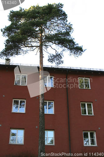 Image of Apartments