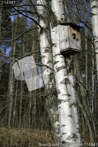 Image of Bird House