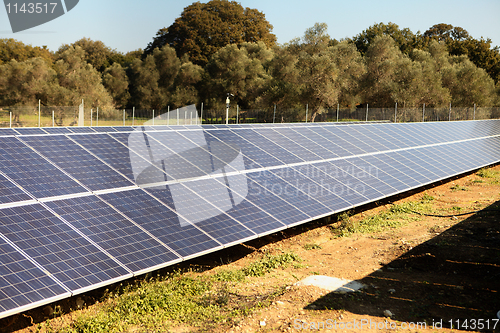 Image of Solar panel array