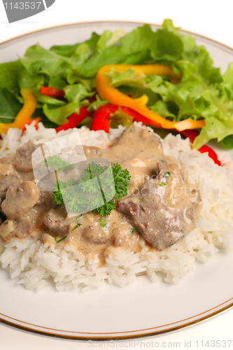 Image of Beef stroganoff meal vertical