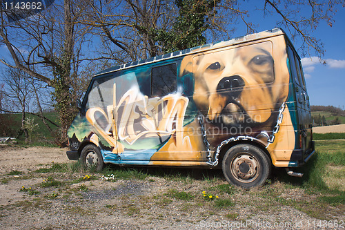 Image of Dog on a graffiti