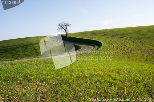 Image of Gascony