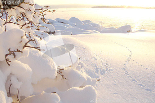 Image of Winter sea landscape